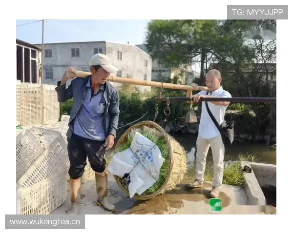 石智勇训练完顺手拎走两袋米,我搬一袋都喘 石智勇训练完顺手拎走两袋米,我搬一袋都喘