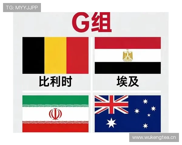 世界杯G组出线形势全面分析